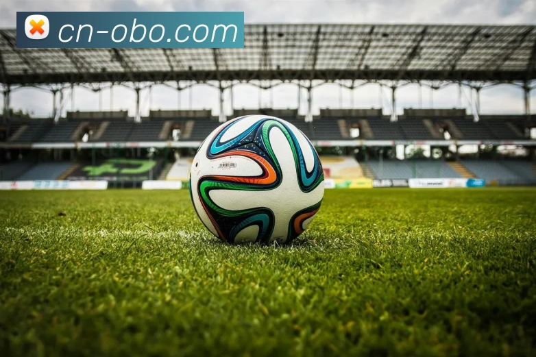 欧博娱乐APP 封面图